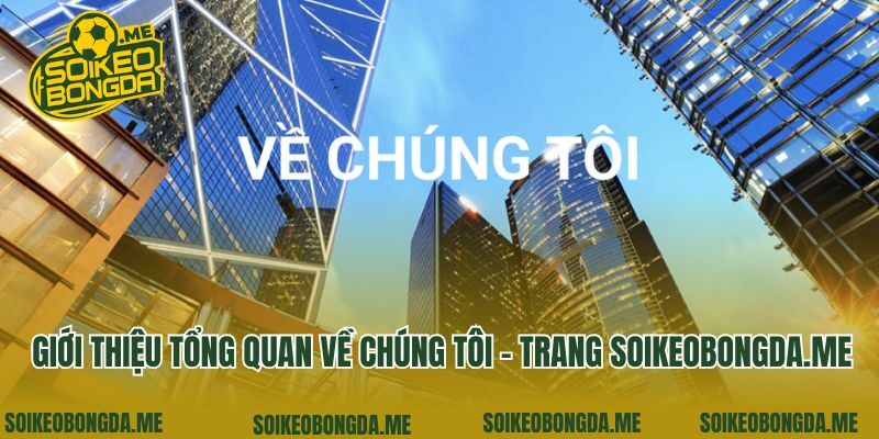 Giới thiệu tổng quan về chúng tôi - trang radiokorea.co